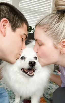 Pet Story Image 3 - Puppy