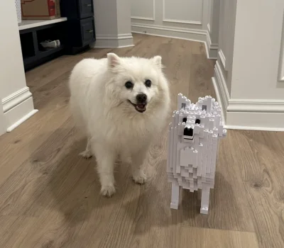 Pet Story Image 4 - Puppy